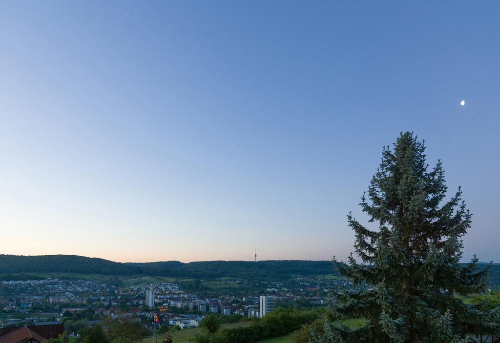 Restaurant-Hotel Maien Lörrach Eksteriør billede